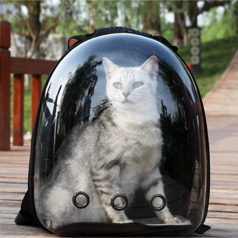 Capsula para transporte de gatos